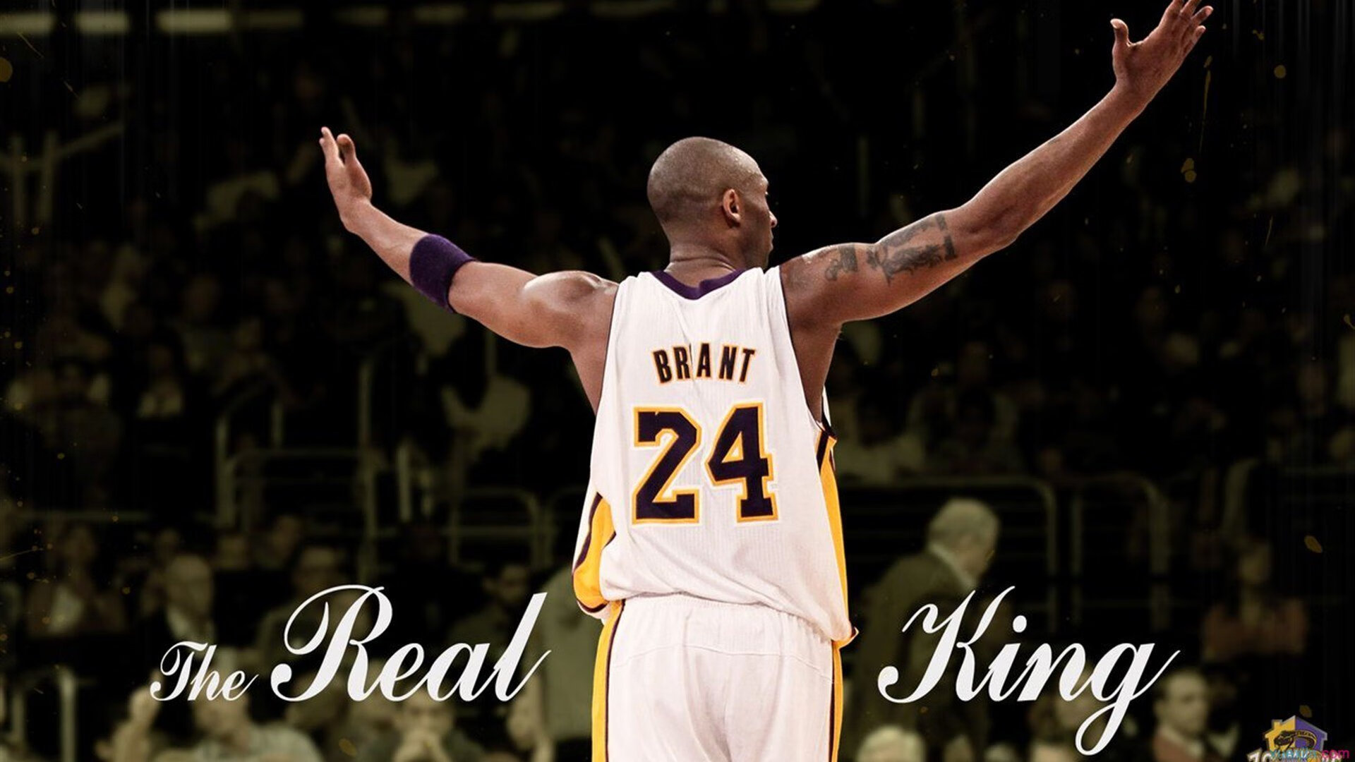 世界室内综合体育节 多项目同时决赛赛程紧凑