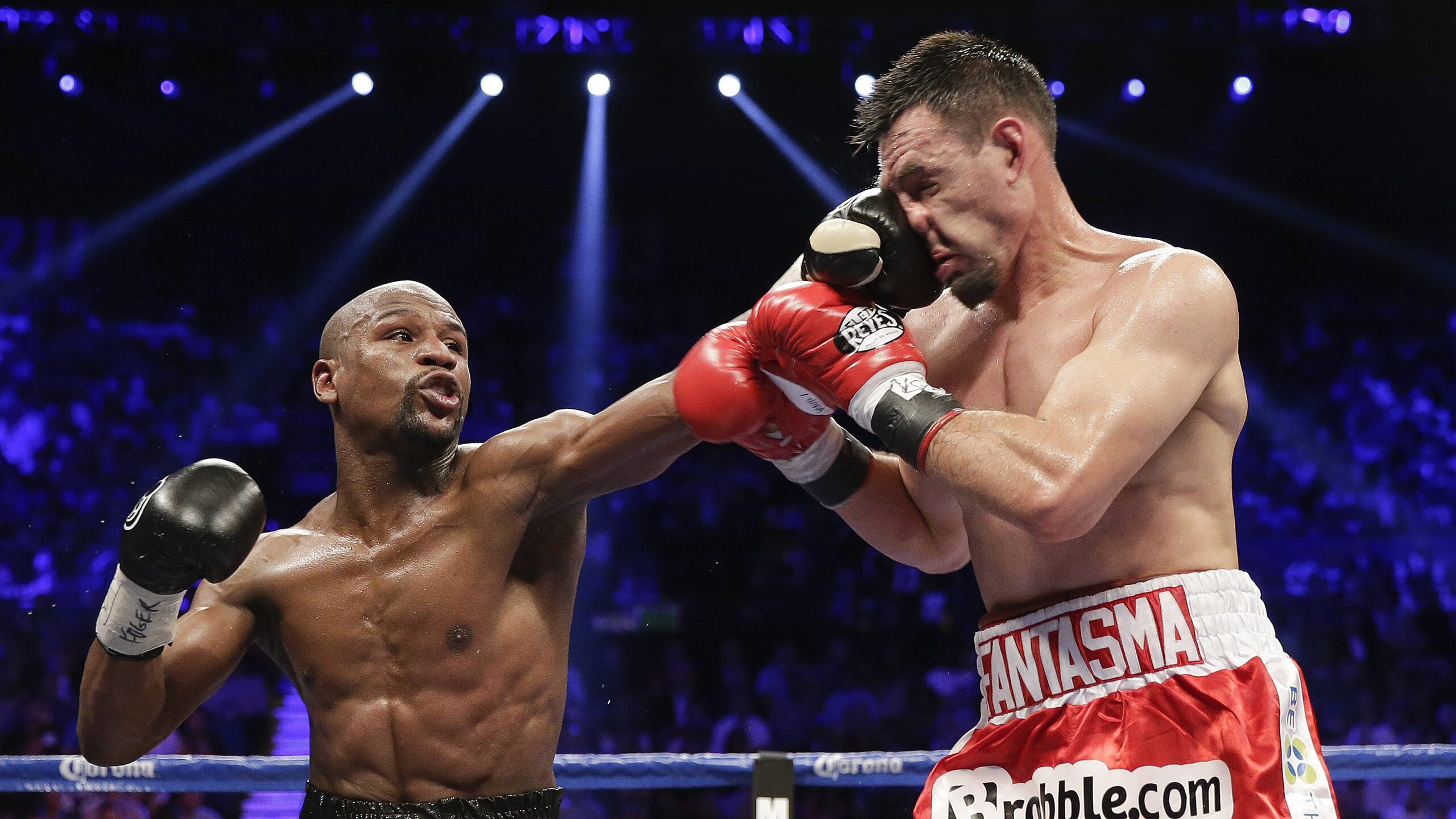 世界杯球场“安全座椅+站席”组合模式 在欧冠球场试水推广